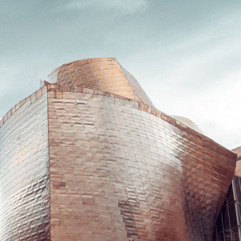Museum Guggenheim Architektur Vogelabwehr